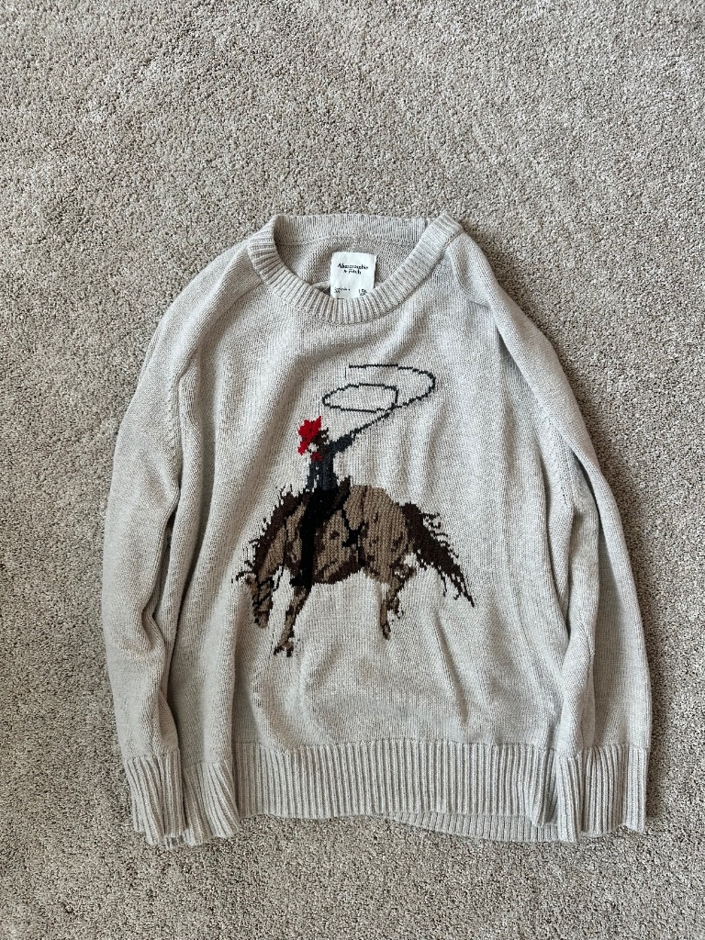 The A&F Madeline Cowgirl Crew Sweater